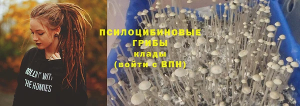 ешки Абинск